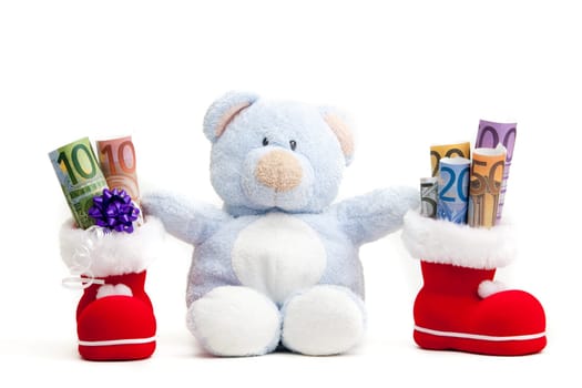 Teddy Bear and Euro Money