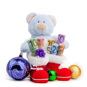 Teddy Bear and Euro Money