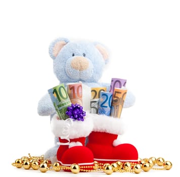 Teddy Bear and Euro Money