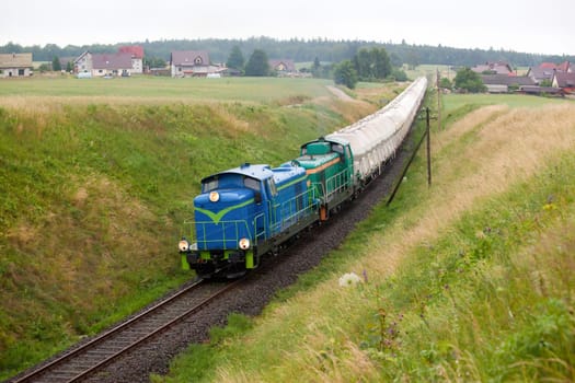 Freight train hauled by the diesel locomotives passing the forest