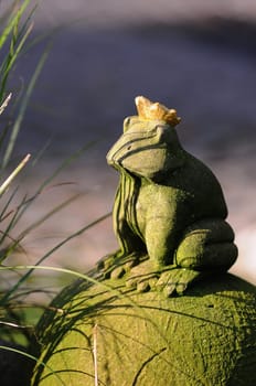 Frog Prince