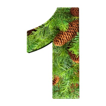 Pine Cone Alphabet isolatet on white
