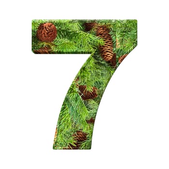 Pine Cone Alphabet isolatet on white