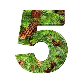Pine Cone Alphabet isolatet on white