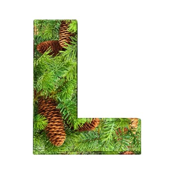 Pine Cone Alphabet isolatet on white