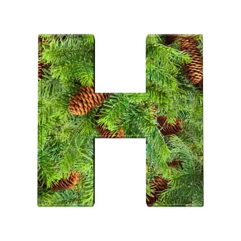 Pine Cone Alphabet isolatet on white