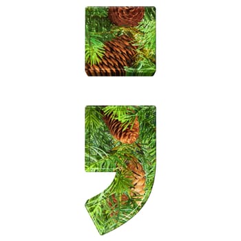 Pine Cone Alphabet isolatet on white