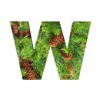 Pine Cone Alphabet isolatet on white