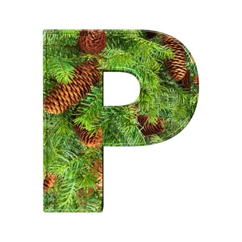 Pine Cone Alphabet isolatet on white