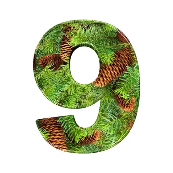 Pine Cone Alphabet isolatet on white