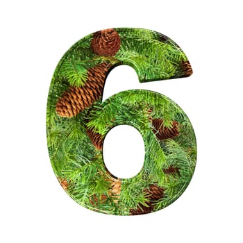 Pine Cone Alphabet isolatet on white