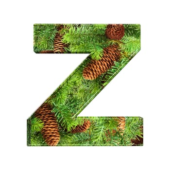 Pine Cone Alphabet isolatet on white