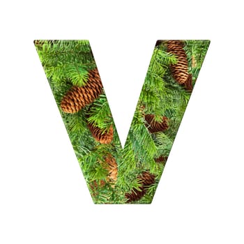 Pine Cone Alphabet isolatet on white