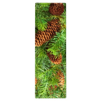 Pine Cone Alphabet isolatet on white