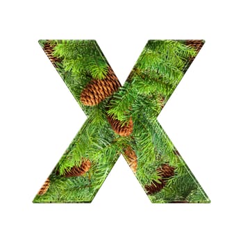 Pine Cone Alphabet isolatet on white