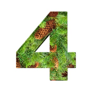 Pine Cone Alphabet isolatet on white