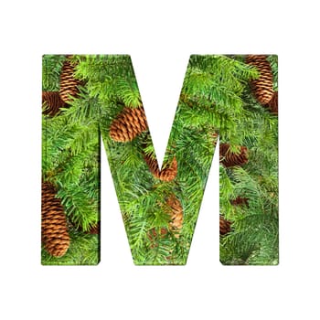 Pine Cone Alphabet isolatet on white