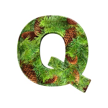 Pine Cone Alphabet isolatet on white