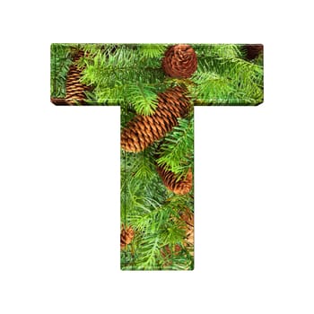 Pine Cone Alphabet isolatet on white