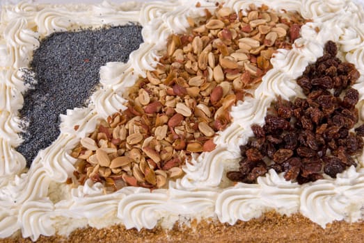 cake closeup with berry isolated on a white
