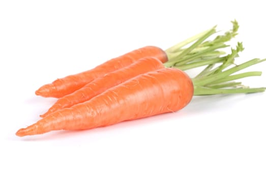 Ripe carrots isolated on a white background