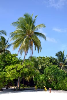 Maldives