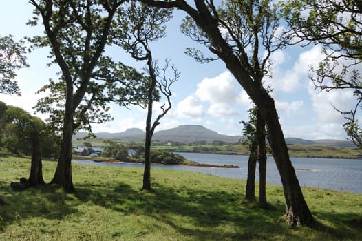Mcleods Tables on Skye seen through trees