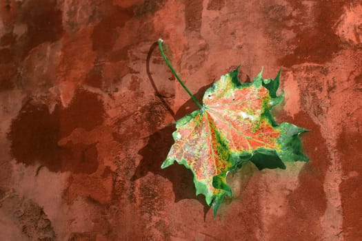 Background - Digiart: Golden Autumn