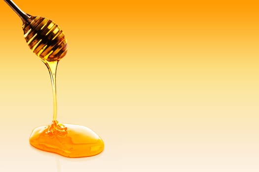 honey dipper