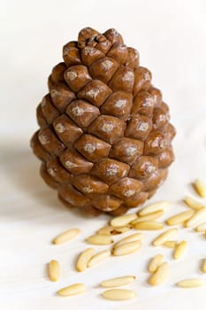 Pine nuts,cones