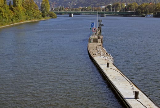 Neckar and Neckar Canal near Heidelberg