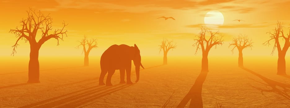 Desert with lots of baobab trees, birds and elephant by sunset