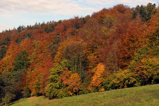 Autumn in the northern Black Forest