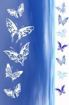 Butterflies