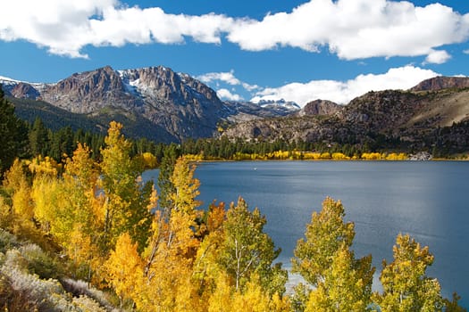 Eastern Sierra mountain range in full autumn colors