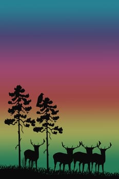 Deer pack