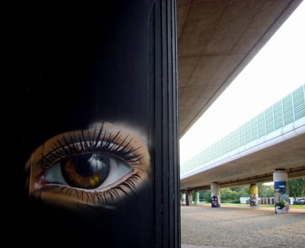 eye