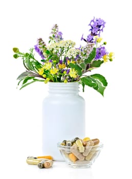 Herb plants with mix of alternative medicine herbal supplements and pills