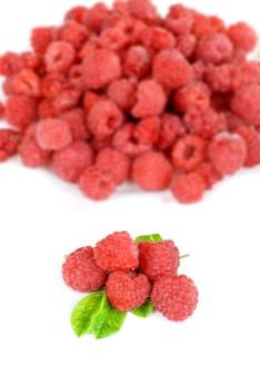 fresh raspberry closeup on a white background