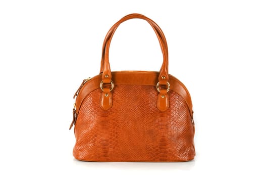 brown women bag, fashion of 2011 year isolated on white background