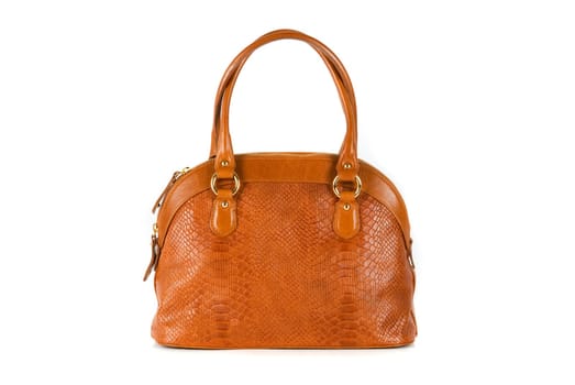 brown women bag, fashion of 2011 year isolated on white background