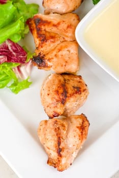 Grilled chicken kebab with sauce and greens on white plate