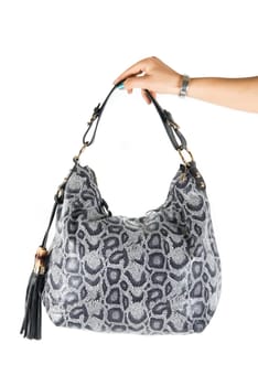 women bag at hand isolated on white background