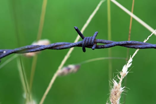 The barbed wire fence