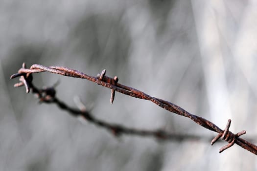 Barbed wire - imprison,lock away,exclude