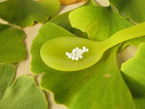 Homeopathic globules and ginkgo