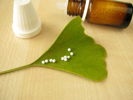 Homeopathic globules and ginkgo