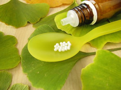 Homeopathic globules and ginkgo