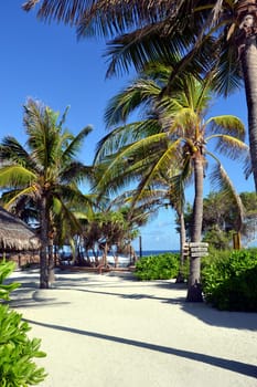Maldives