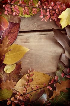 Autumn Background - Color Autumn Leafs on Wooden Background
